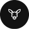 Kangaroo