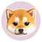 KiboShib