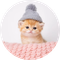 Kitten Wif Hat