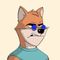LC SHIB