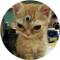 LUMI