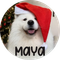 Maya icon
