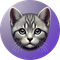 melo (melo)