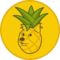 Meme Inu