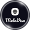 MetaVisa