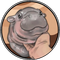MOO DENG (MOODENG)