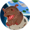 Moo Deng