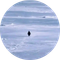 Nietzschean Penguin