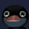 Noot Noot (NOOT)
