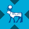Novo Nordisk tokenized stock (xStock)