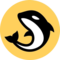 Orca