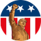 Patriot