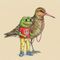 Peace Frog