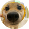 Pochita