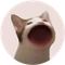 Popcat