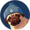 Pugwifhat (PUGWIF)