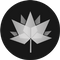 QCAD