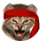 Red Kitten Crew icon