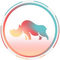 rhino.fi