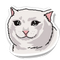 SAD MEOW (SADMEOW)