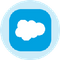 Salesforce Inc (Derivatives)