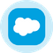 Salesforce Tokenized Stock (Ondo)