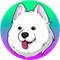 Samoyedcoin (SAMO)