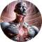 Satoshi AI agent by Virtuals
