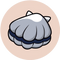 Scallop