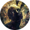 Schizo Terminal
