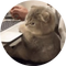 Side Eye Cat