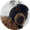 SKI MASK DOG icon