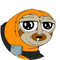 Slerf (SLERF)