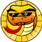 SoliSnek