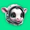 SPOT icon