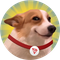 SunDog