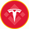 Tesla Tokenized bStocks