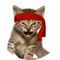 The Roaring Kitty