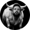 The White Bull