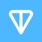 Toncoin icon