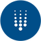 Trident Digital