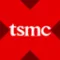 TSMC xStock