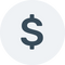 United States Dollar icon