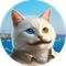 vankedisi