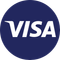 Visa Inc (Derivatives)