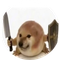 what the dog doing?