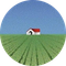 what's inside that house