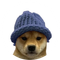 WIF on ETH
