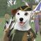 WISHBONE