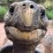 WORLDS OLDEST ANIMAL